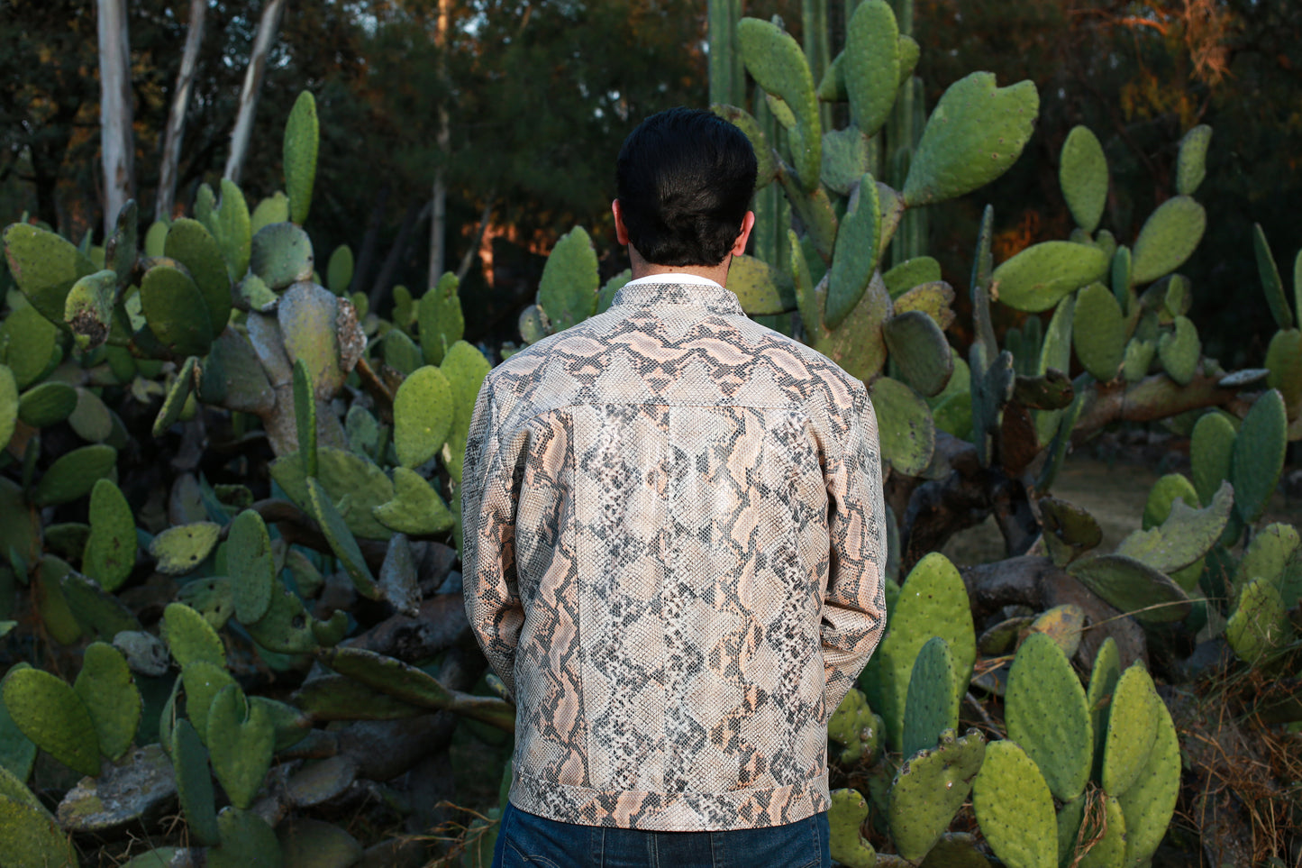 Sandstone Serpent Leather Jacket for Men chicago