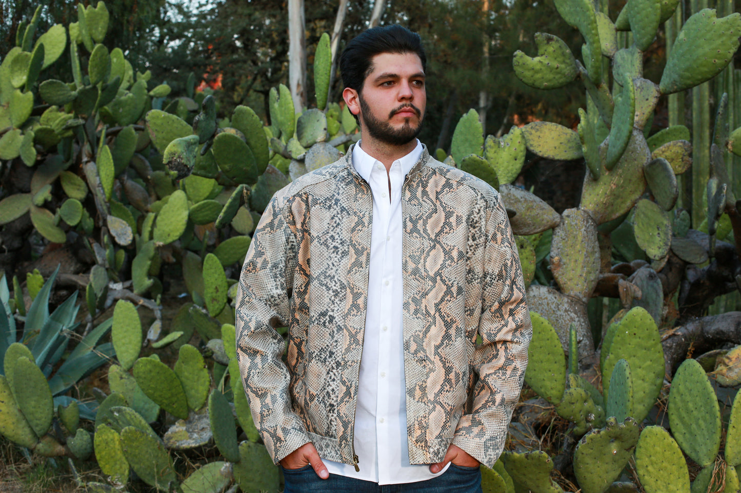Sandstone Serpent Leather Jacket for Men new york
