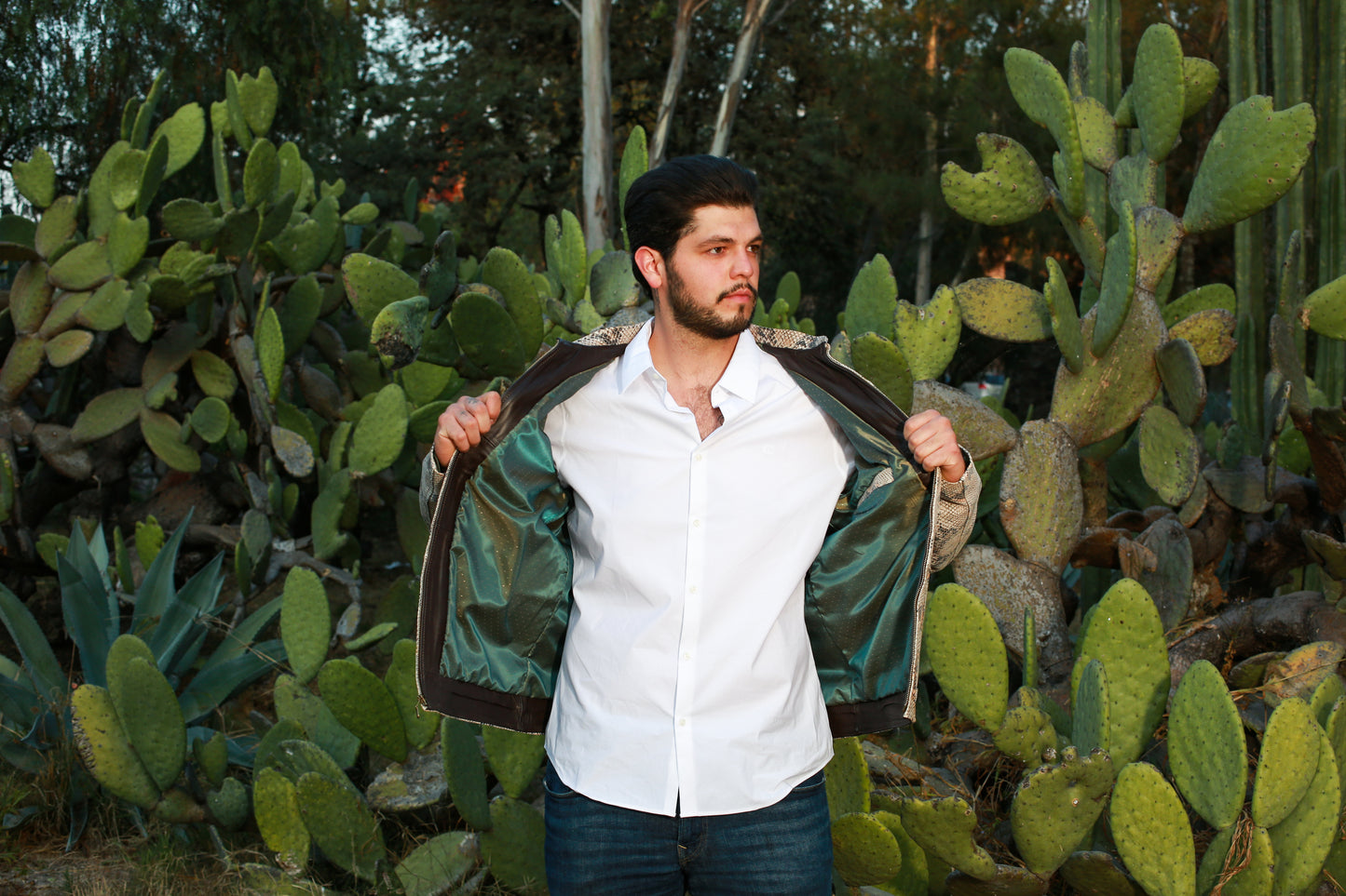 Sandstone Serpent Leather Jacket for Men san antonio