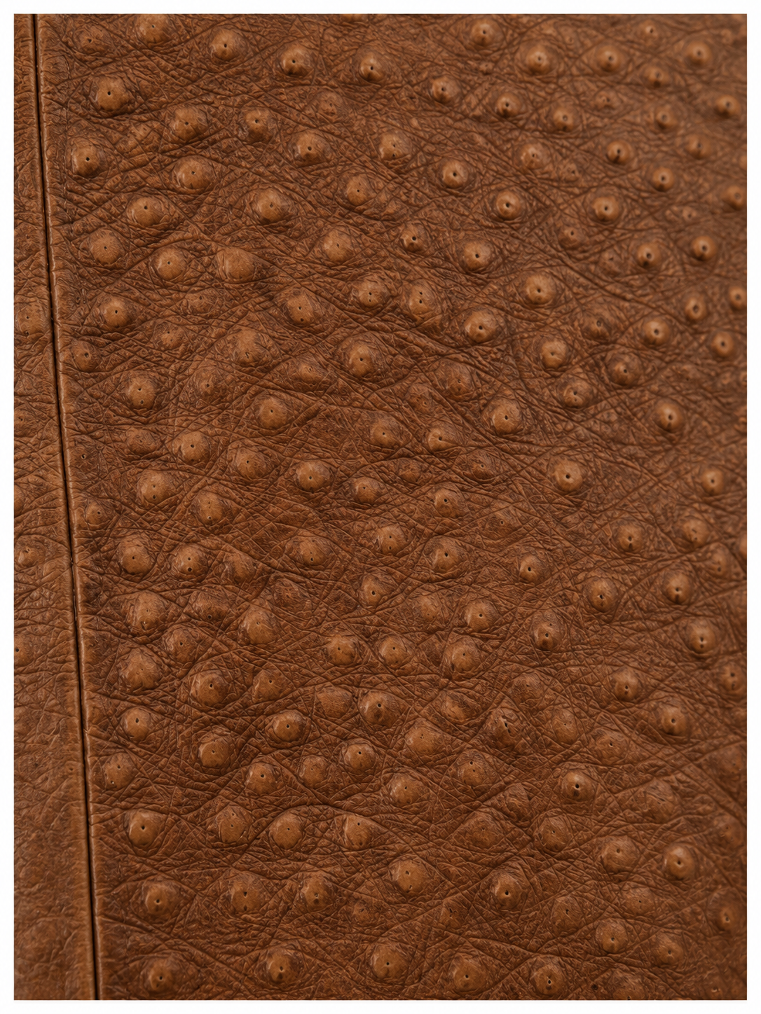 Men's Cognac Ostrich-Textured Leather Moto Jacket