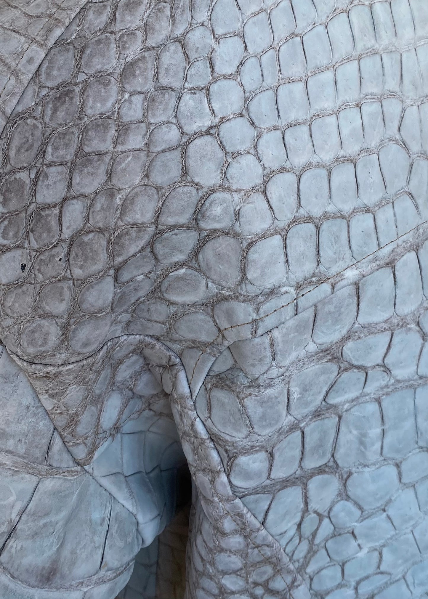White Genuine Crocodile Leather Jacket denver