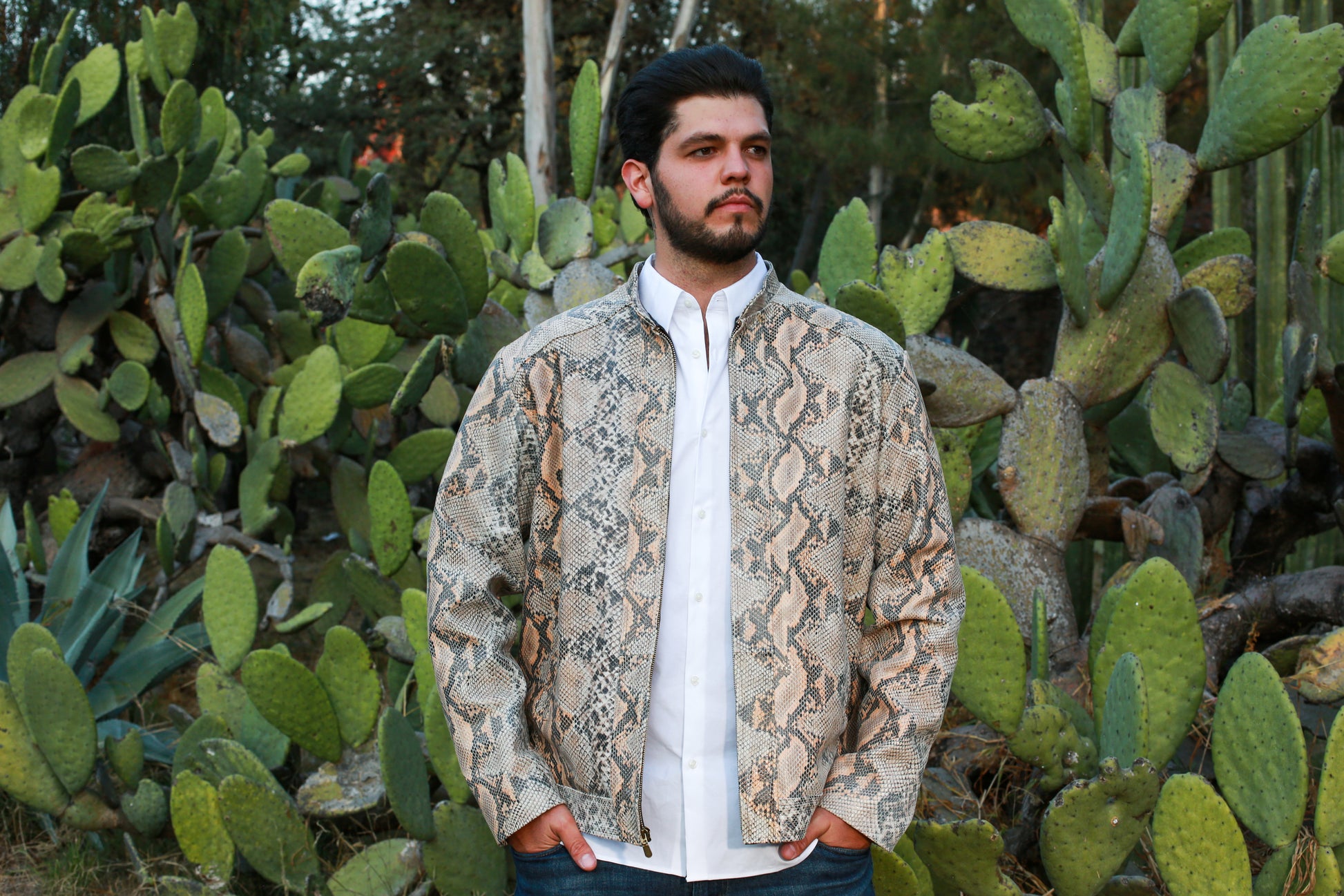 Sandstone Serpent Leather Jacket for Men new york