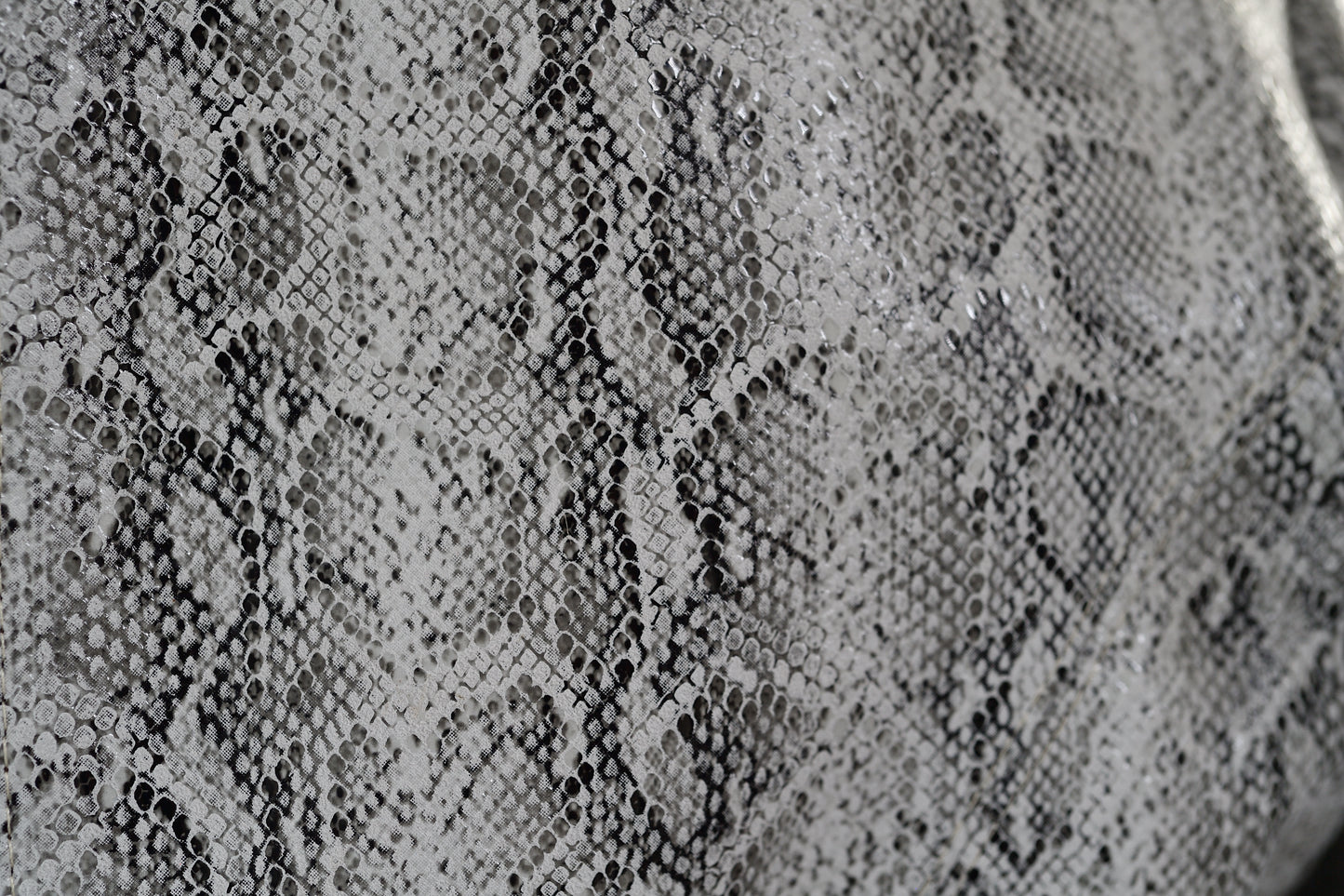 womens Snake skin in the city atlanta
